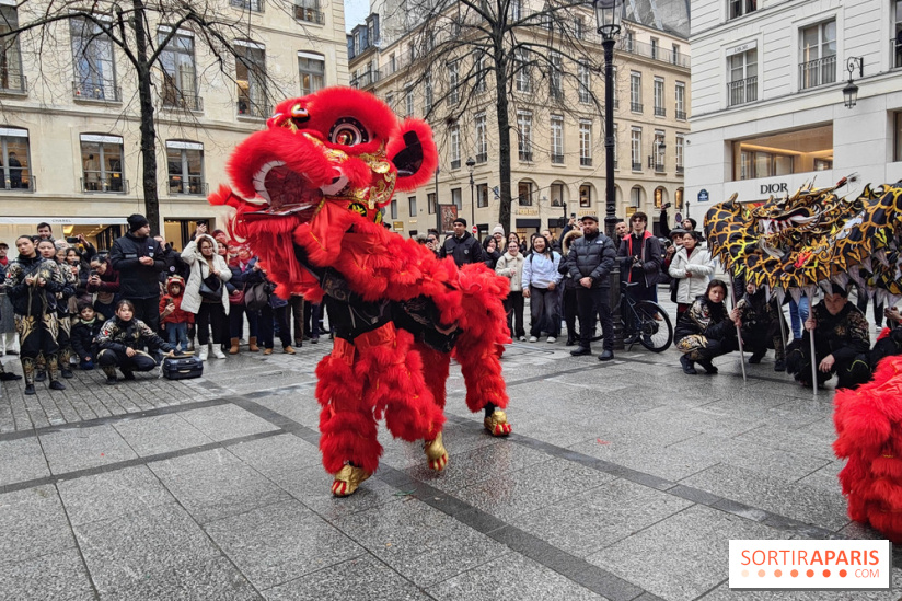 Défilé du Nouvel An Lunaire-Chinois Faubourg Saint-Honoré  - IMG20250205130728