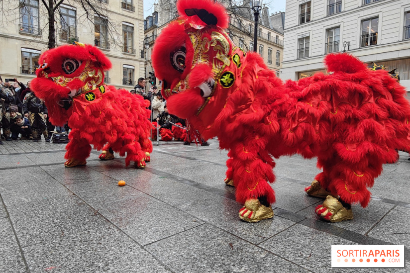 Défilé du Nouvel An Lunaire-Chinois Faubourg Saint-Honoré  - IMG20250205130537