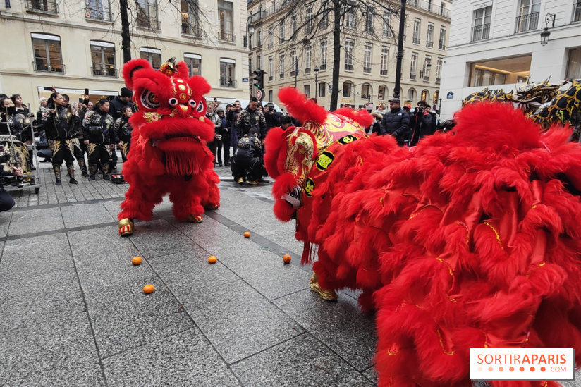 Défilé du Nouvel An Lunaire-Chinois Faubourg Saint-Honoré  - IMG20250205130438