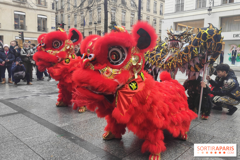 Défilé du Nouvel An Lunaire-Chinois Faubourg Saint-Honoré  - IMG20250205130401