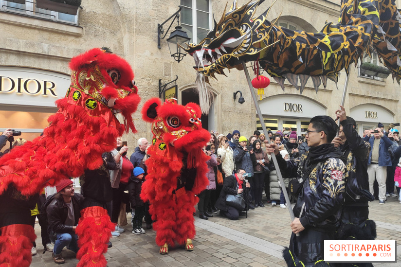 Défilé du Nouvel An Lunaire-Chinois Faubourg Saint-Honoré  - IMG20250205125006