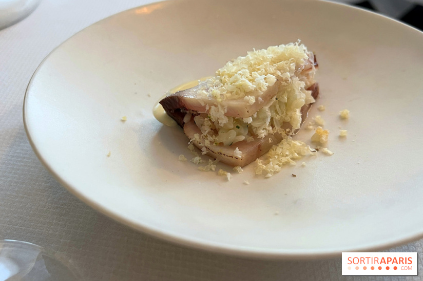 Pages - Risotto de sériole