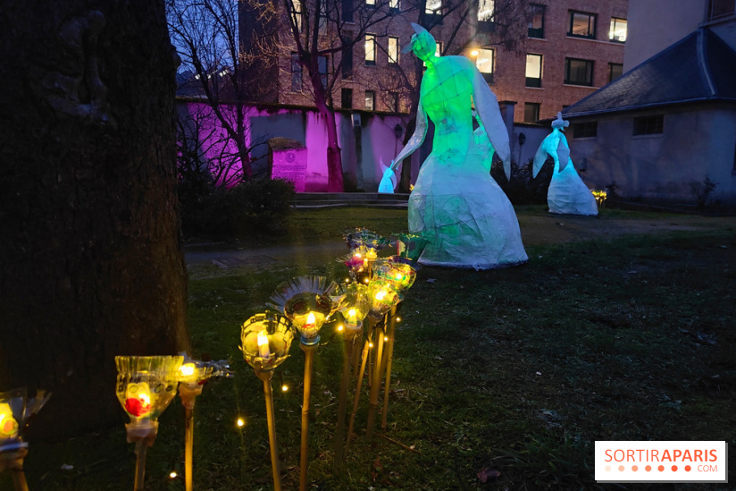 Exposition Silva Lumina au Centre Culturel Irlandais  - fotor 1738780205211