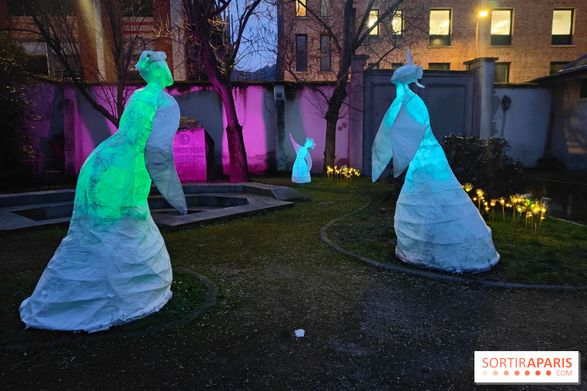 Exposition Silva Lumina au Centre Culturel Irlandais