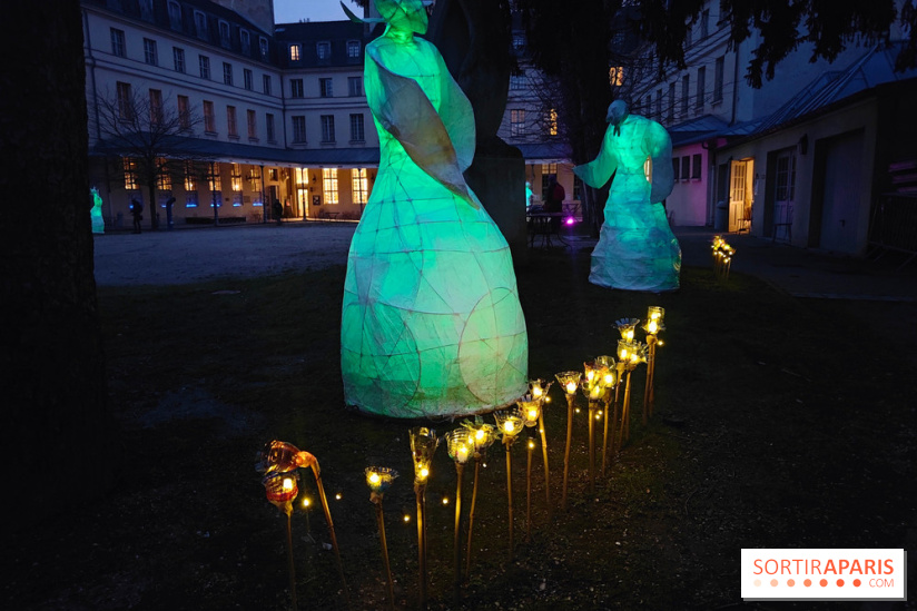 Exposition Silva Lumina au Centre Culturel Irlandais  - fotor 1738780143460