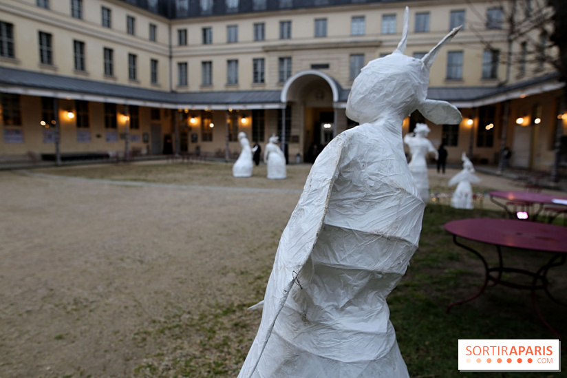 Exposition Silva Lumina au Centre Culturel Irlandais  - Silva Lumina 2 fotor 2025020691851