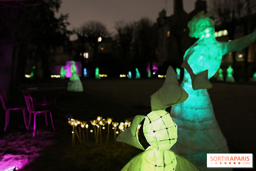 Exposition Silva Lumina au Centre Culturel Irlandais  - Silva Lumina 8 fotor 2025020691539