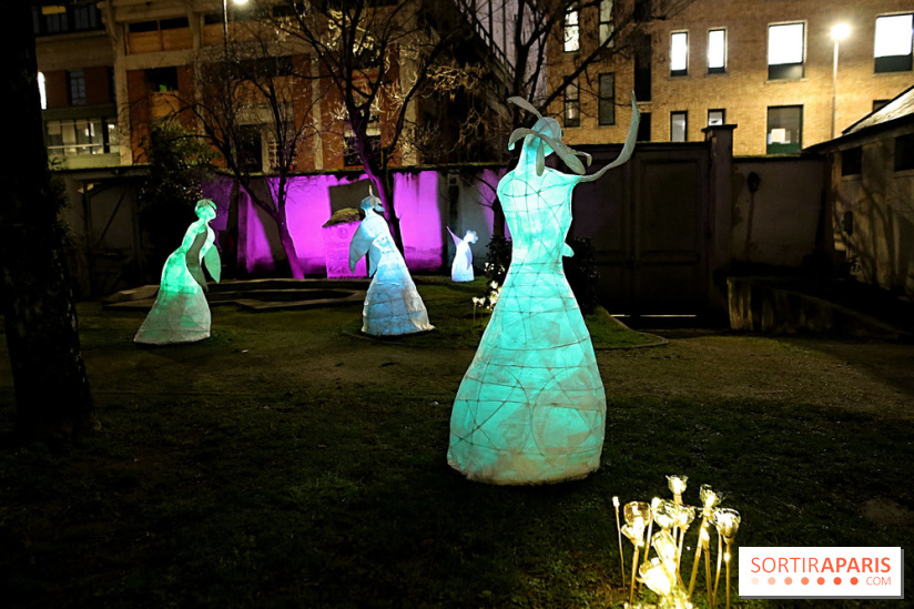 Exposition Silva Lumina au Centre Culturel Irlandais  - Silva Lumina 11 fotor 2025020691355