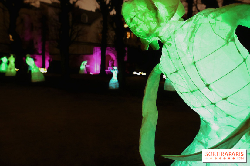 Exposition Silva Lumina au Centre Culturel Irlandais  - Silva Lumina 12 fotor 2025020692052