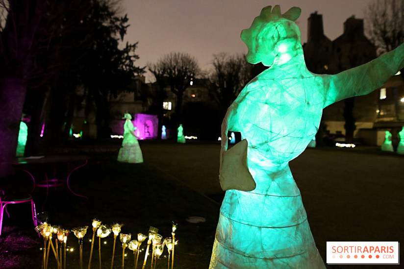 Exposition Silva Lumina au Centre Culturel Irlandais  - Silva Lumina 14 fotor 202502069205