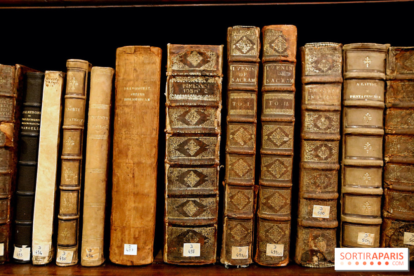 Centre Culturel Irlandais et sa bibliothèque  - IMG 7630 fotor 20250210172113