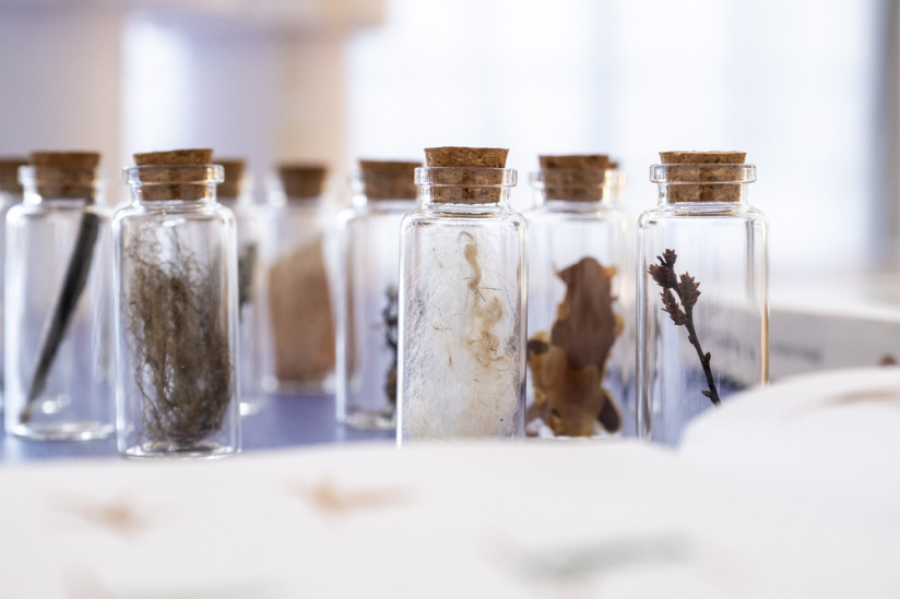 Ateliers gratuits aux Jardin des métiers d'Art et du Design - Chroniques de la création © CD92   WL(2)