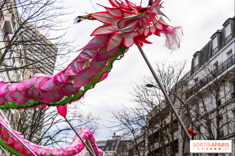 Défilé du Nouvel an Lunaire - Chinois 2025 Paris 13e - les photos