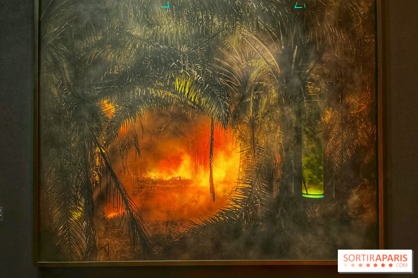 Paysages mouvants - IMG 8693