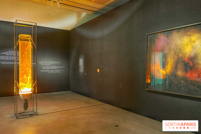 Paysages mouvants - IMG 8695