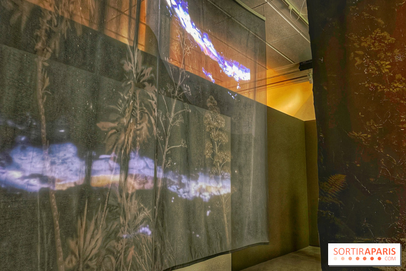 Paysages mouvants - IMG 8696