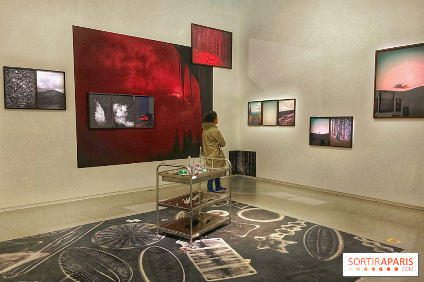 Paysages mouvants - IMG 8707