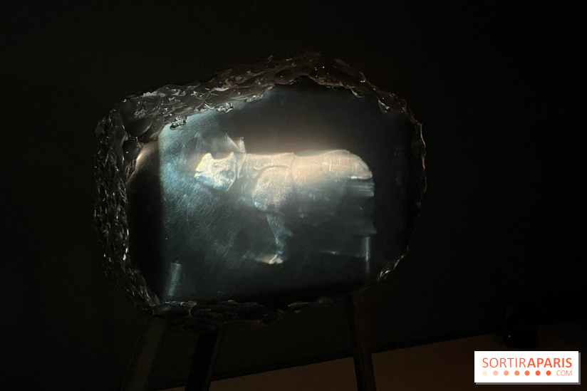 Paysages mouvants - IMG 8717