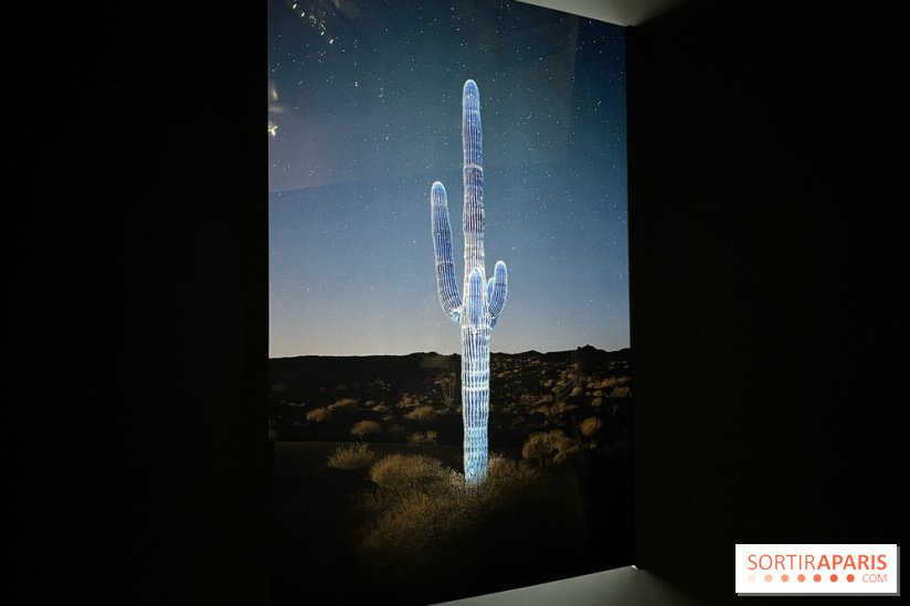 Paysages mouvants - IMG 8721