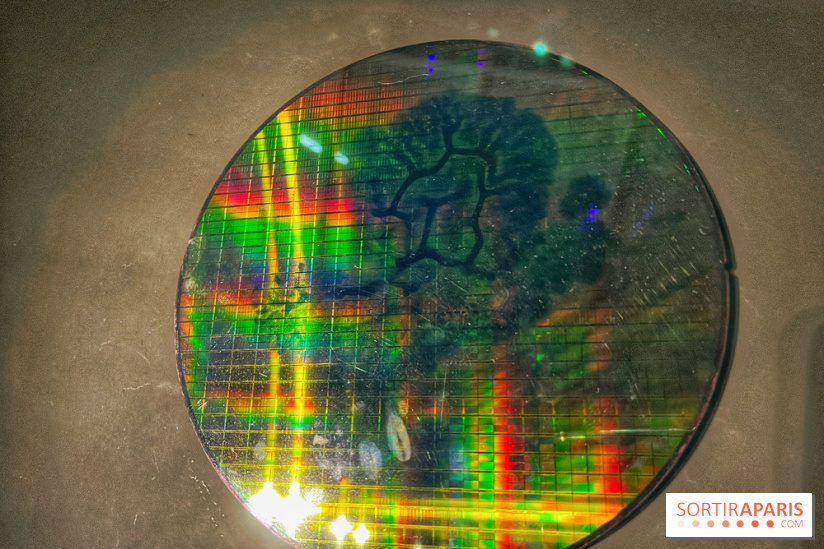 Paysages mouvants - IMG 8722