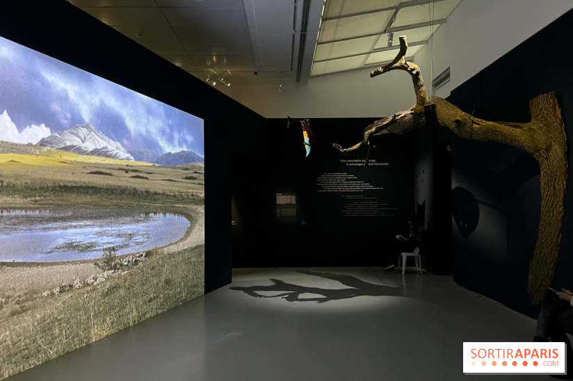 Paysages mouvants - IMG 8730