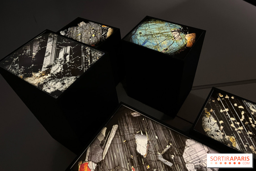 Paysages mouvants - IMG 8739