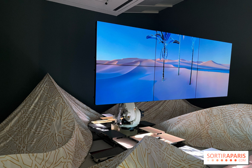 Paysages mouvants - IMG 8743