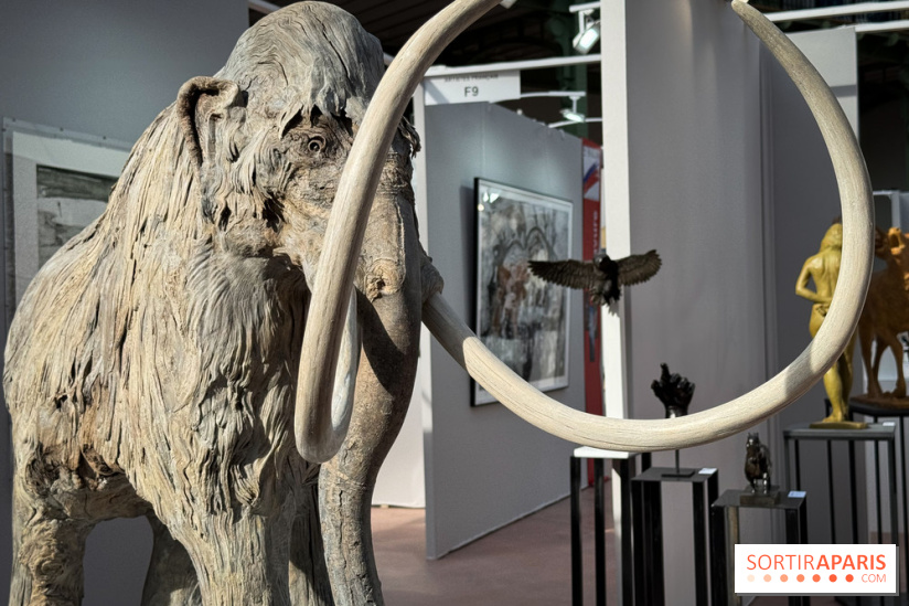 Art Capital 2025 - IMG 9628