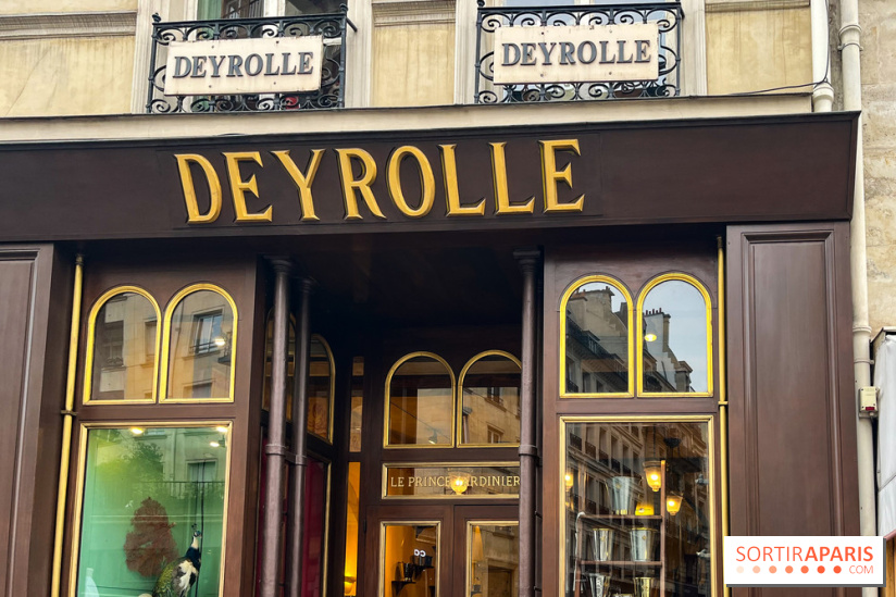 Deyrolle, l'incroyable cabinet de curiosités à Paris - nos photos