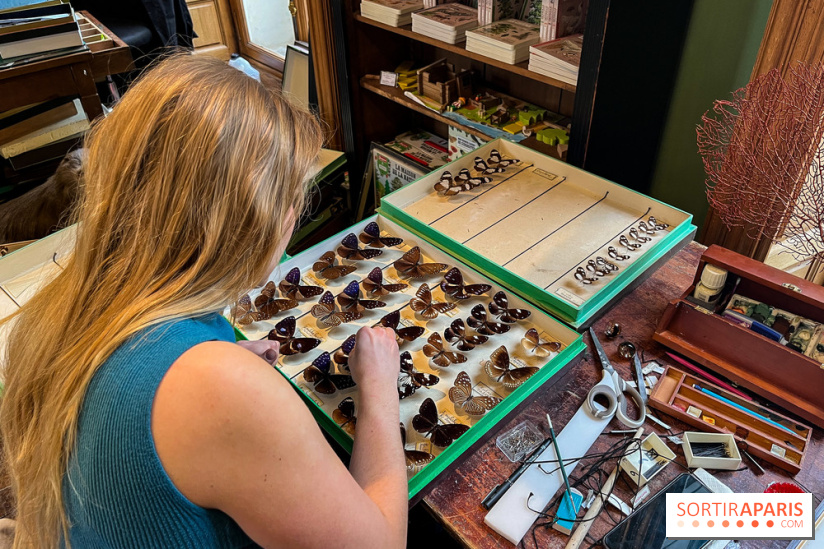Deyrolle, l'incroyable cabinet de curiosités à Paris - nos photos