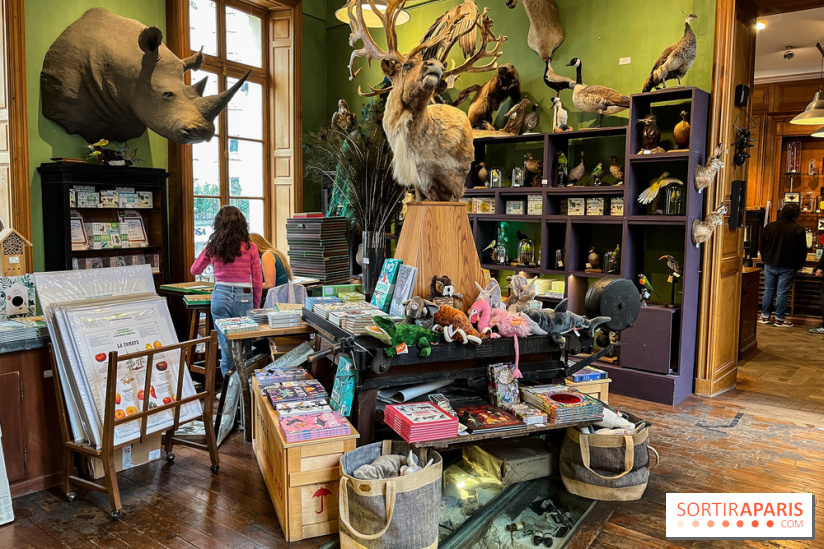 Deyrolle, l'incroyable cabinet de curiosités à Paris - nos photos