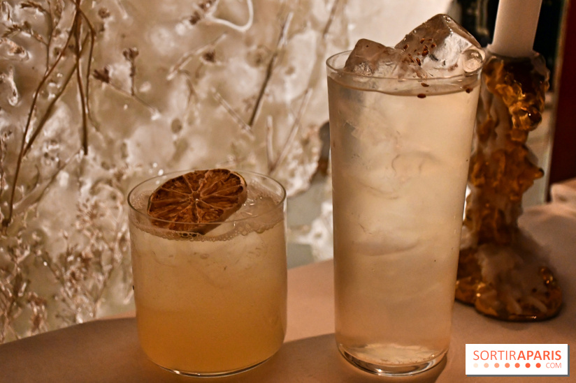 Ojii, l'excellent spot aux allures de bar tokyoïde à Paris - DSC 3538 Fotor