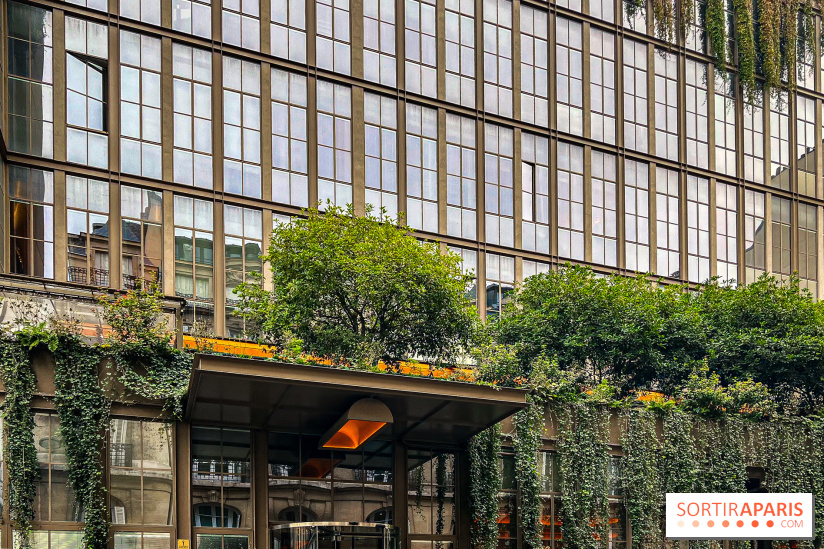 Reveal your Face - Brach Paris - image00001