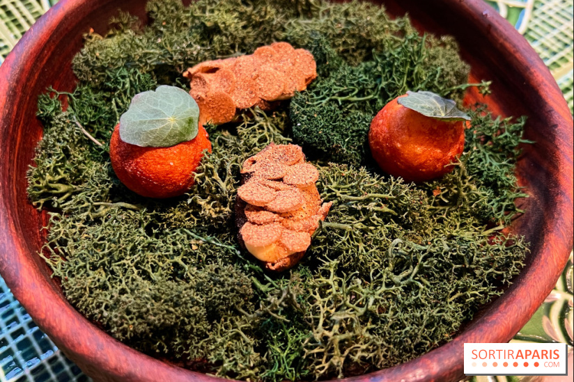 Le Christine - Topinambours soufflés, pomme dauphine