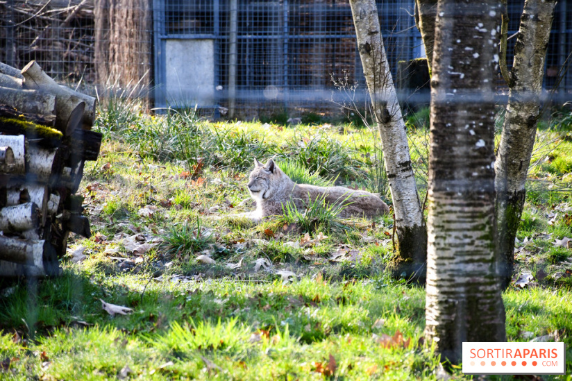 Lumigny Safari Reserve - nos photos