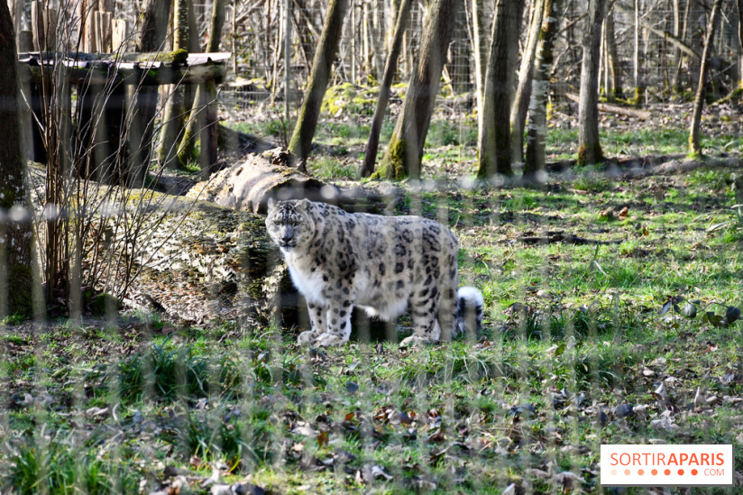 Lumigny Safari Reserve - nos photos