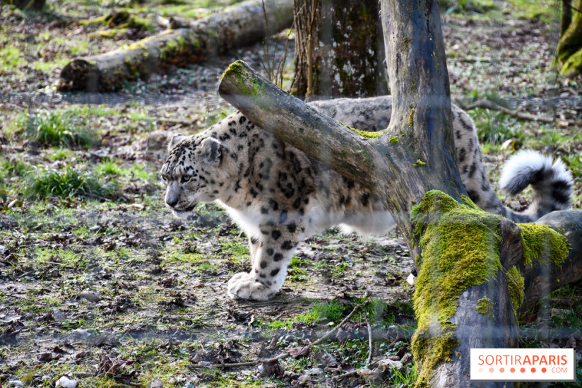 Lumigny Safari Reserve - nos photos