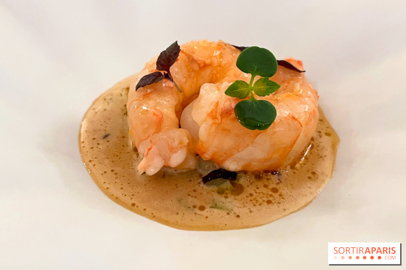 Episodes - Langoustine, céleri, bergamote