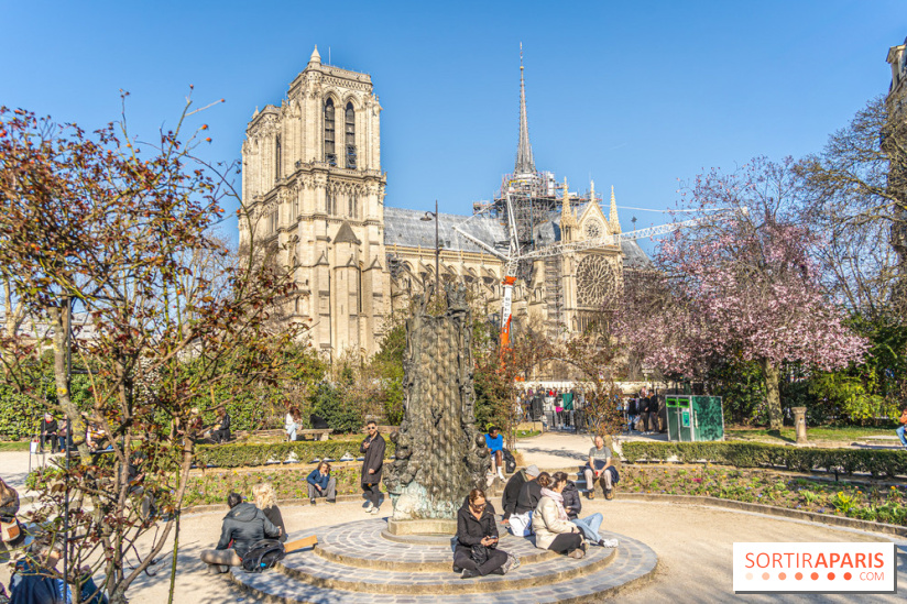 Le Square Viviani devant Notre-Dame de Paris