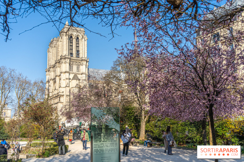 Le Square Viviani devant Notre-Dame de Paris  - A7C03844