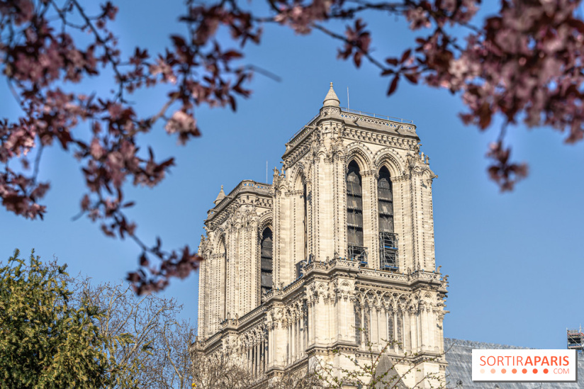 Le Square Viviani devant Notre-Dame de Paris