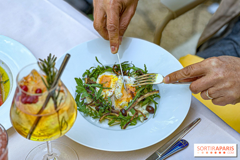 Le Jardin : le nouveau restaurant-terrasse bucolique d'Alain Ducasse chez Baccarat  - image00053