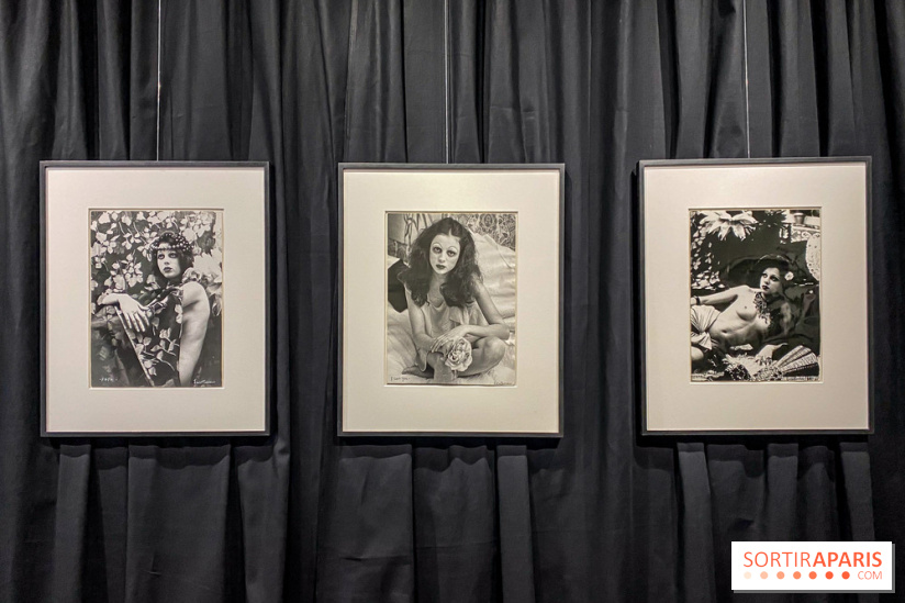 Exposition Irina Ionesco aux galeries Rachel Hardouin et La Lison