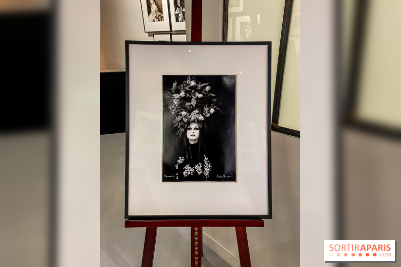 Exposition Irina Ionesco aux galeries Rachel Hardouin et La Lison