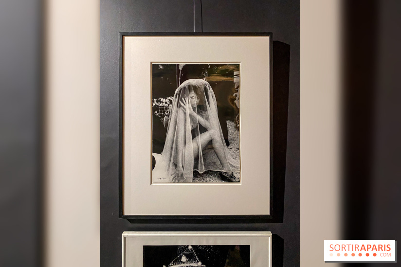 Exposition Irina Ionesco aux galeries Rachel Hardouin et La Lison