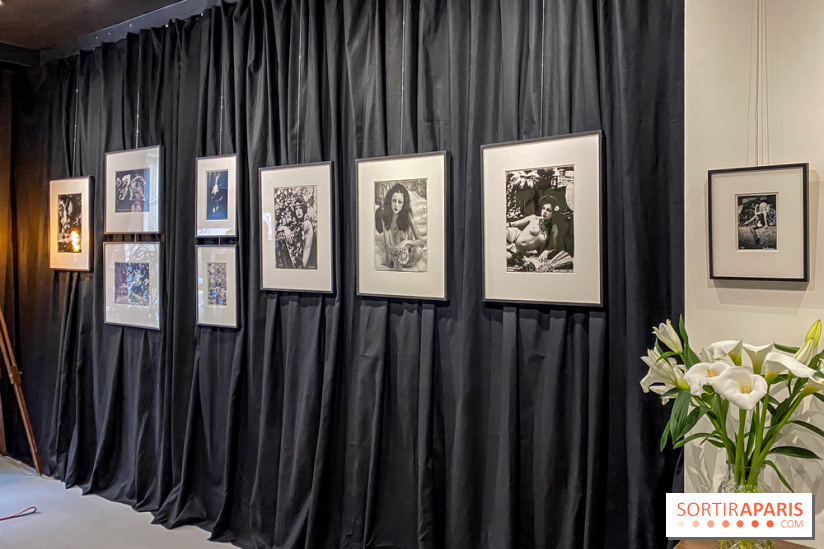 Exposition Irina Ionesco aux galeries Rachel Hardouin et La Lison