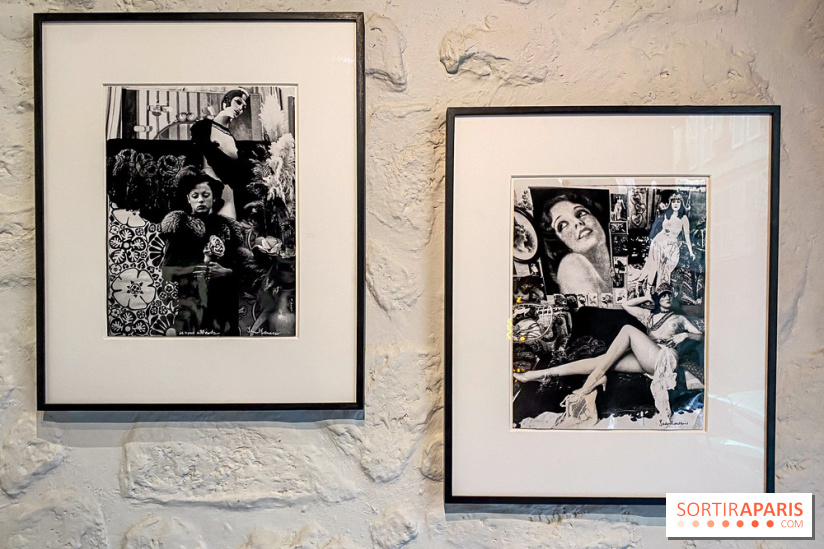 Exposition Irina Ionesco aux galeries Rachel Hardouin et La Lison