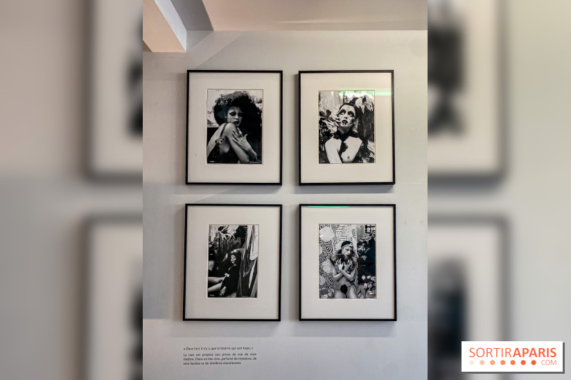 Exposition Irina Ionesco aux galeries Rachel Hardouin et La Lison