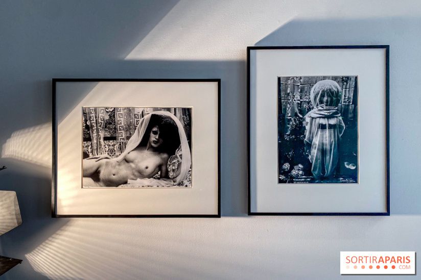 Exposition Irina Ionesco aux galeries Rachel Hardouin et La Lison