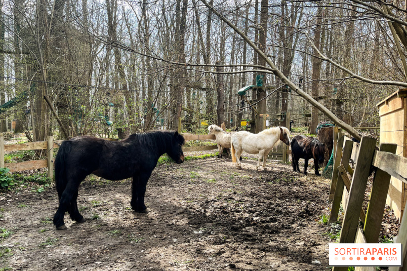 Sherwood Parc 2025 - nos photos - image00018